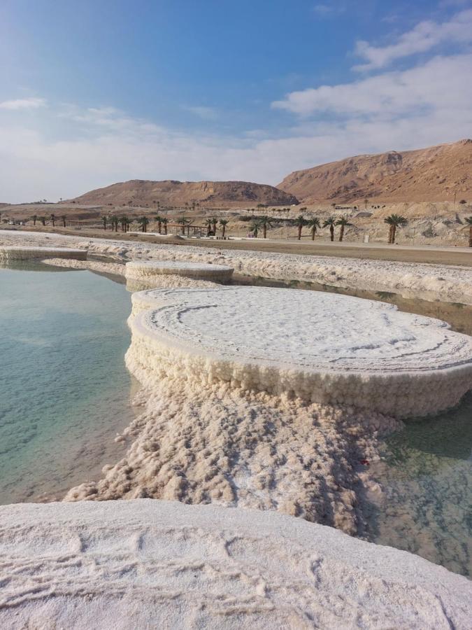 המקום של כרמית نيفيه زوهار المظهر الخارجي الصورة