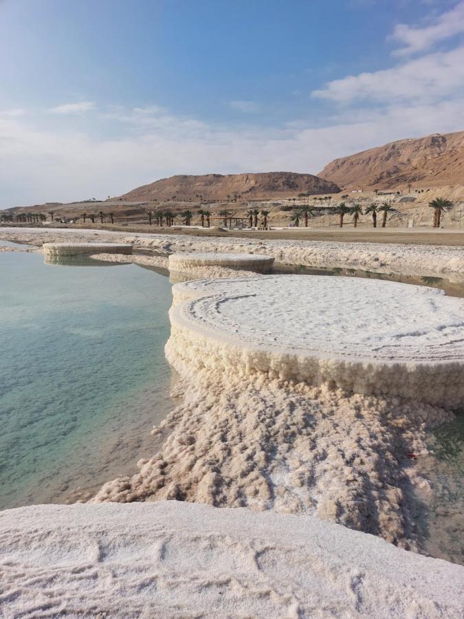 המקום של כרמית نيفيه زوهار المظهر الخارجي الصورة